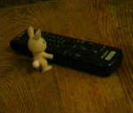 vidéo one rabbit hutches dormir télévision télécommande fou