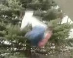 vidéo saut arbre raté chute cascade