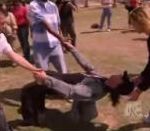 vidéo criss angel neo matrix bullet time position incroyable