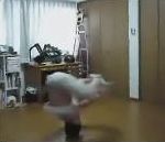 vidéo tour tête head spin 93 tours hip hop