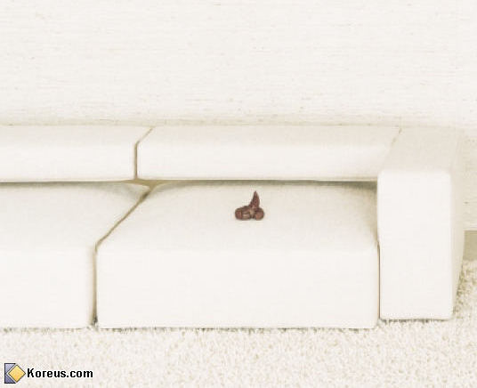 image Le chien est le meilleur ami de homme humour idee recue insolite