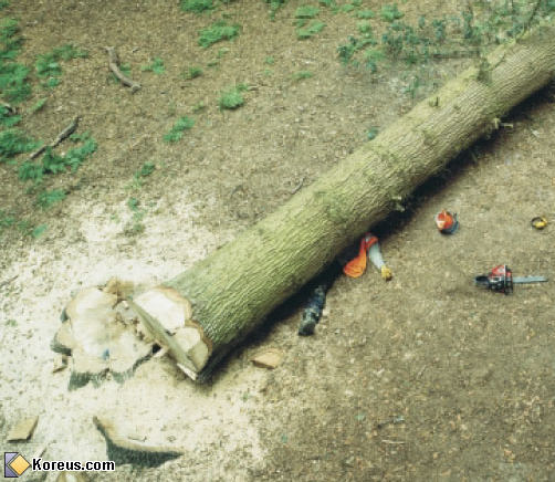 image Le travail santé humour idee recue insolite