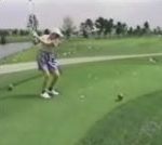 vidéo oiseau golf assome swing