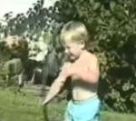 vidéo water gag accident chute eau videogag compilation humour jackass