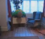 vidéo homme carton invisible disparaitre