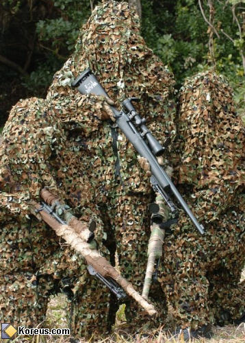 image camouflage guerre arme à feu armée humour insolite