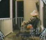 vidéo halloween homme prend peur et donne un coup de poing