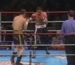 vidéo top 10 ko boxe meilleur bestof best of sport