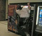 vidéo coup de bide gros ventre dans distributeur automatique