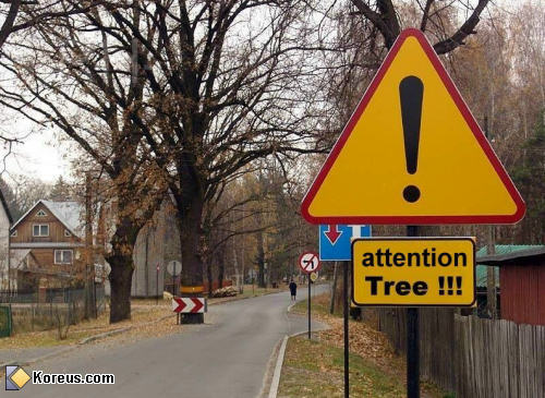 photo attention arbre image a lire pancarte panneau humour insolite