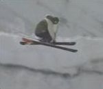 vidéo skieur skie chanceux chance neige fosse vide