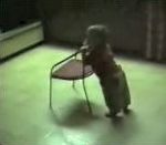 vidéo enfant bébé premier pas chaise tombe renverse tête carrelage