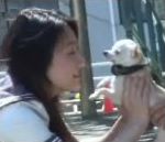 vidéo chien pincher pervers camera caché collier jupe culotte