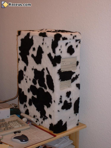 photo informatique ordinateur unité centrale peau vache humour insolite