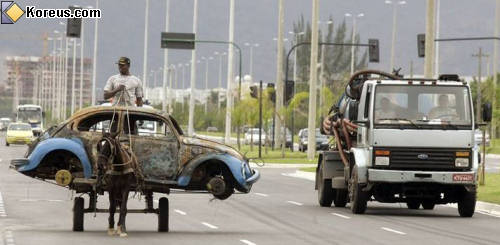 photo dépanneur ane coccinelle transport convoi exceptionnel humour insolite