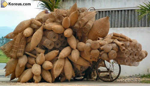 photo vélo cochon ficelé transport convoi exceptionnel humour insolite