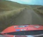 vidéo vache rallye collision