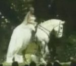 vidéo scène cheval tombe chute