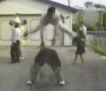 vidéo comilation chute gamelle videogag gag ralenti