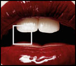 jeu flash humour insolite