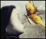 vidéo cécile sans paupière supinfocom papillon