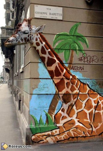 photo animal humour insolite