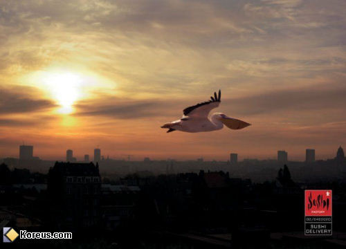 sushi livraison pelican photo image affiche publicité humour insolite
