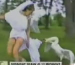 vidéo mariage mariée attaquée par un cygne