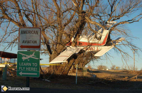 photo humour insolite pancarte ecole aviation avion arbre
