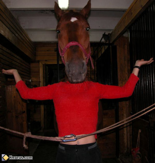 photo humour insolite femme cheval tête