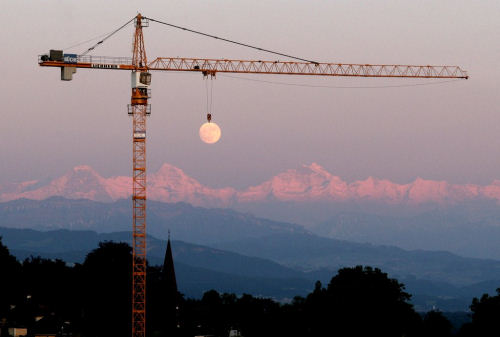 photo grue lune humour insolite