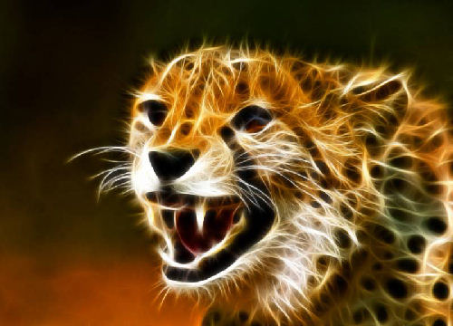 photo guepard fractale humour insolite
