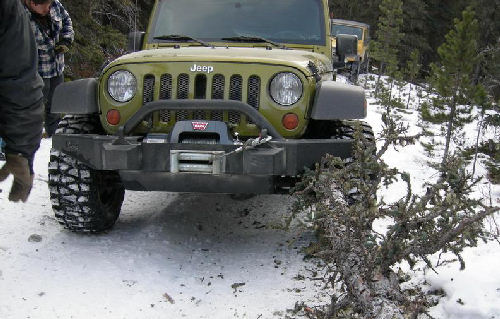 photo humour insolite