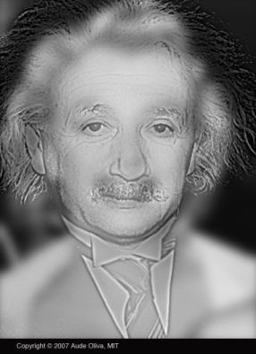 photo illusion optique albert einstein marilyn monroe