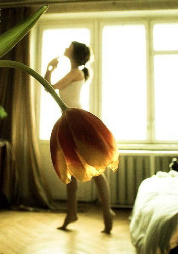 photo humour insolite tulipe robe danseuse fleur