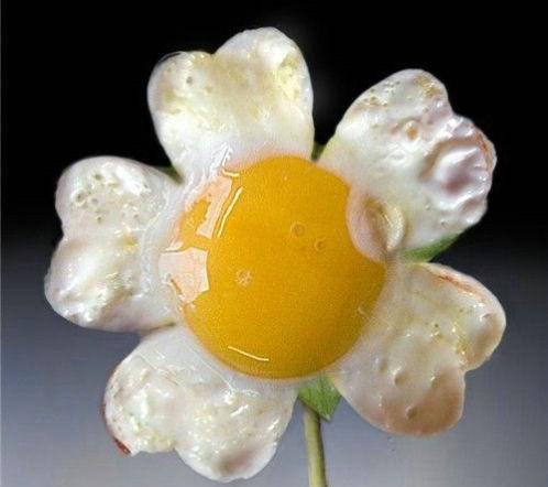 photo humour insolite