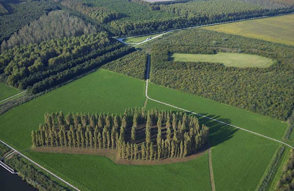 photo humour insolite couper coller arbre