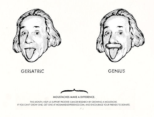 photo humour insolite moustaches make a difference