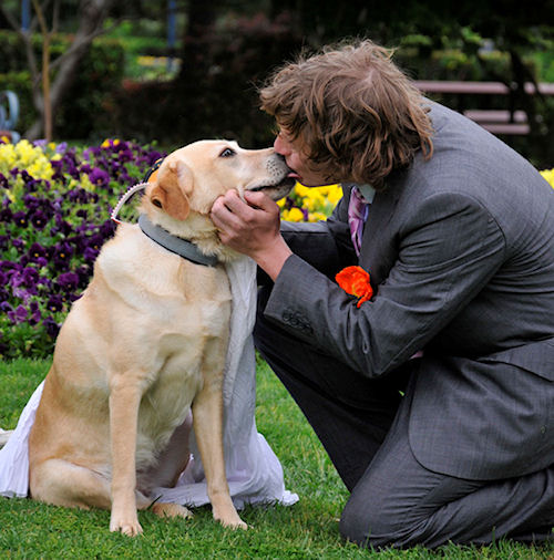 photo humour insolite homme chien mariage
