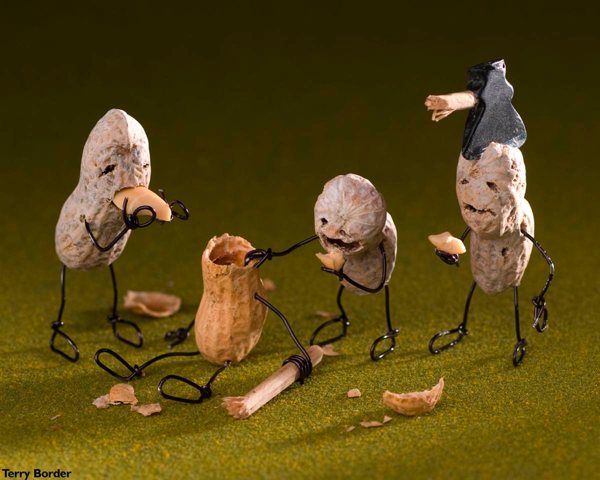 photo humour insolite zombie cacahuète