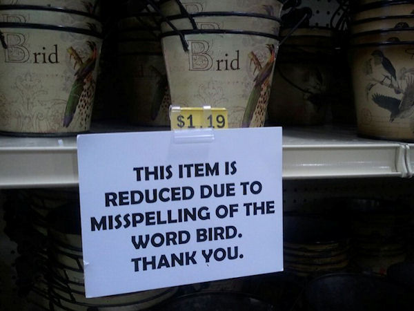 photo humour insolite brid bird misspelling