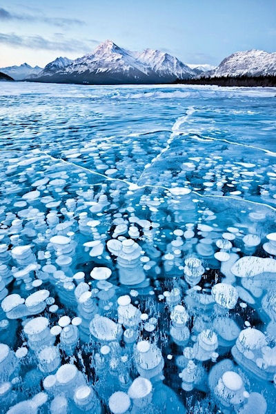 photo humour insolite bulles gelées