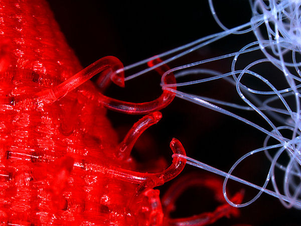 photo humour insolite vélcro microscope