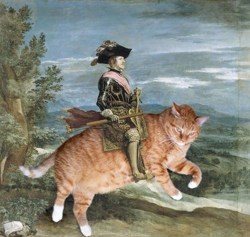 photo humour insolite chat art