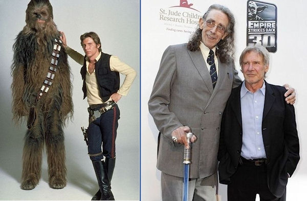 photo humour insolite chewbacca han solo
