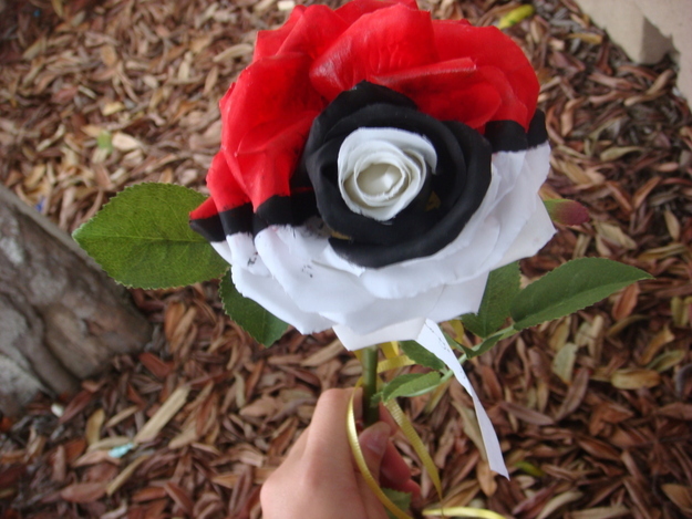 photo humour insolite rose pokemon