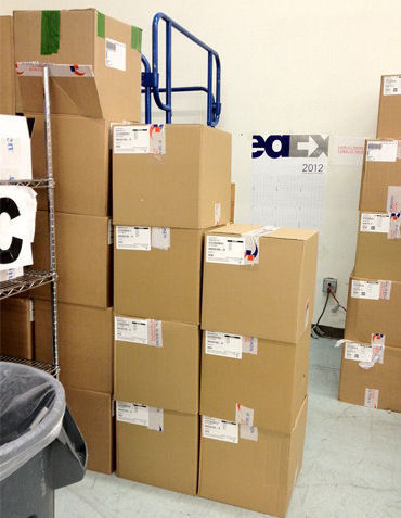 photo humour insolite