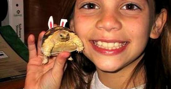 photo humour insolite fille tortue