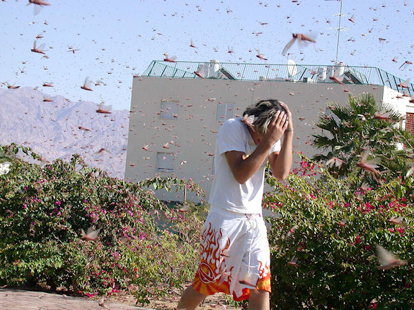 photo humour insolite