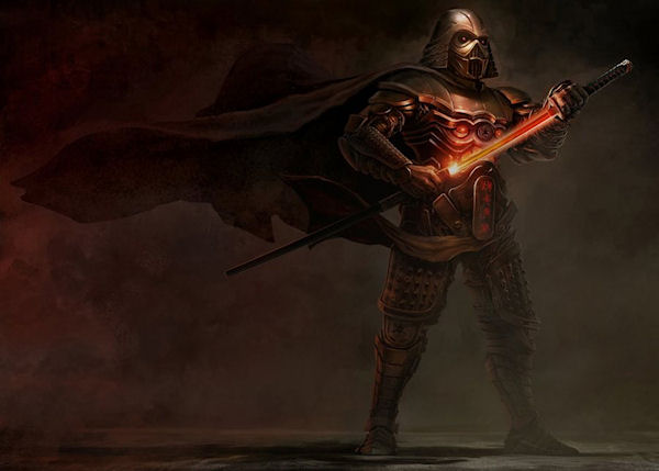 photo humour insolite dark vador samurai